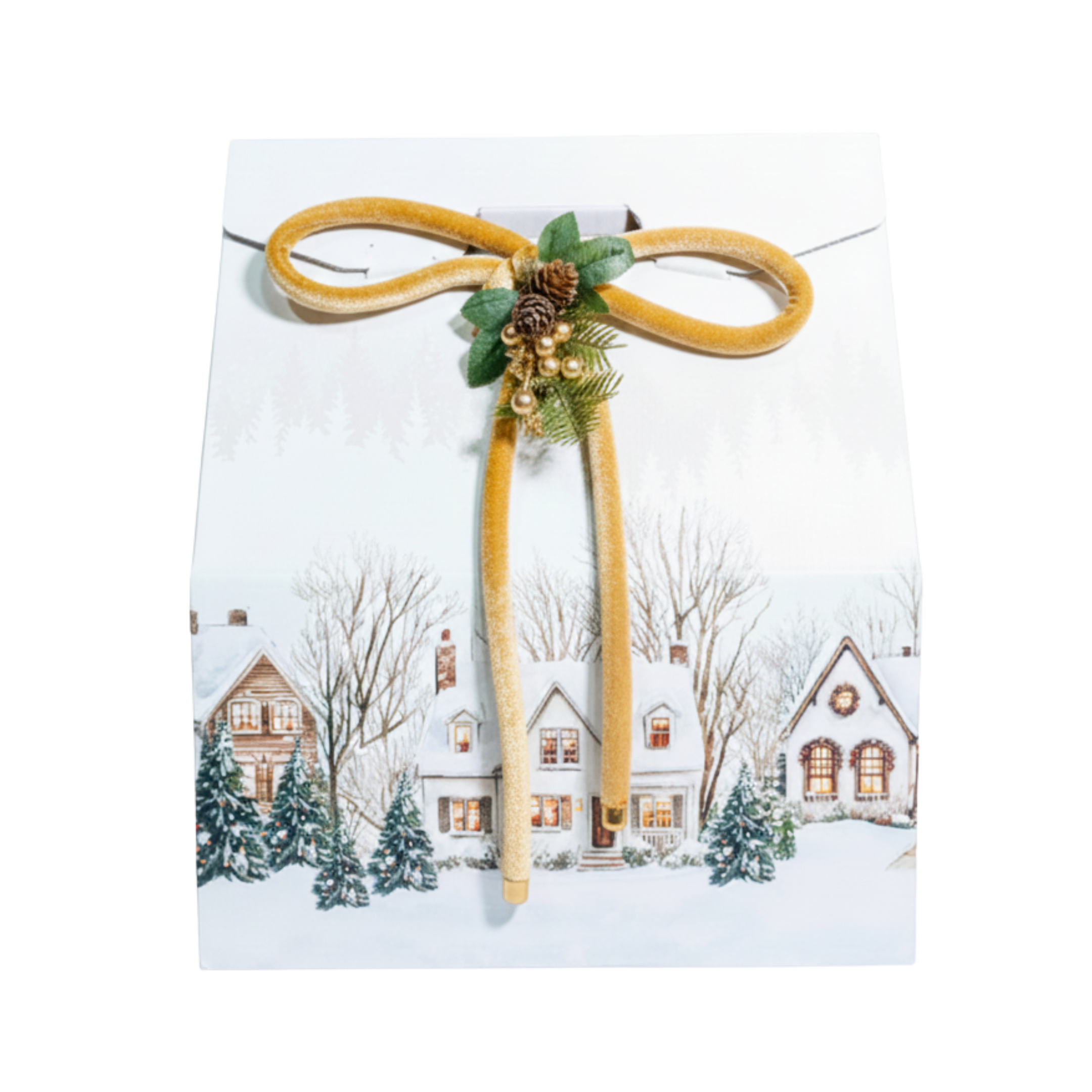 pacchetto regalo bianco